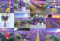 Puzzle Lavanda França