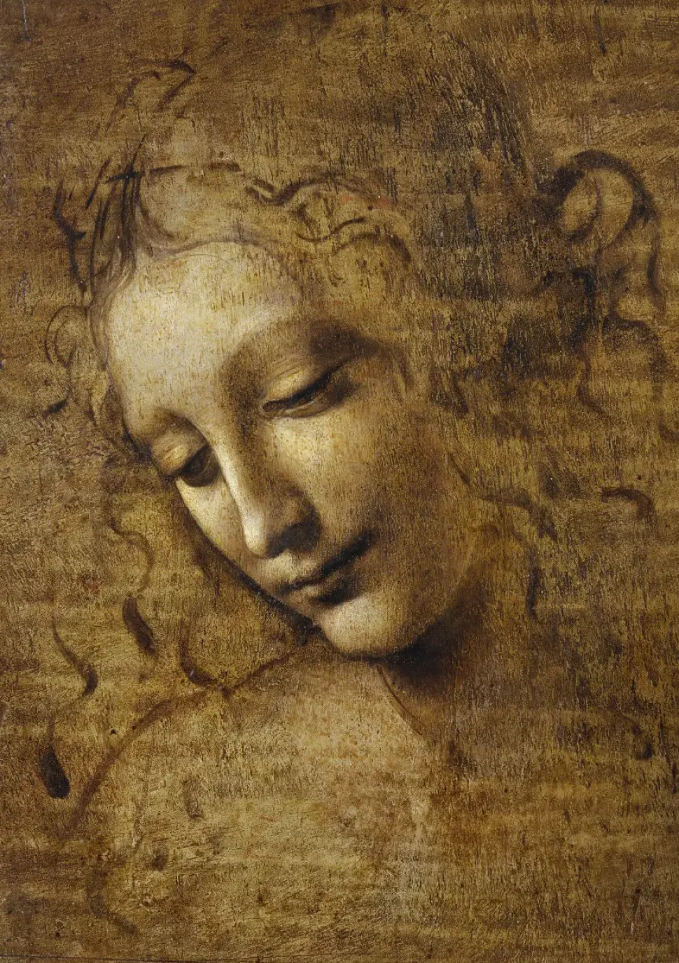 Puzzle Leonardo da Vinci: La Scapigliata, 1506-1508