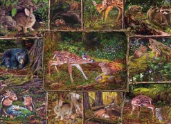 Puzzle No bosque