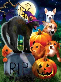 Puzzle Não mexa com a gatinha