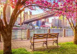 Puzzle Nova York, EUA