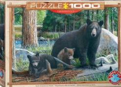 Puzzle Novas descobertas