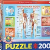 Puzzle O Corpo Humano