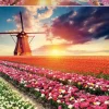 Puzzle Paisagem de tulipas