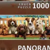 Puzzle Panorama de cachorros em um banco