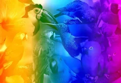 Puzzle Paraíso dos pássaros