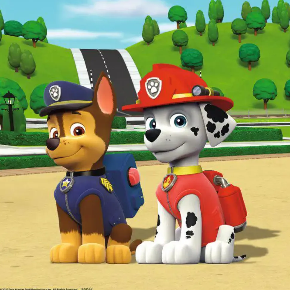 Puzzle Paw Patrol: Equipe de 4 Paws