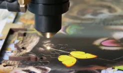 Puzzle Peixe tropical