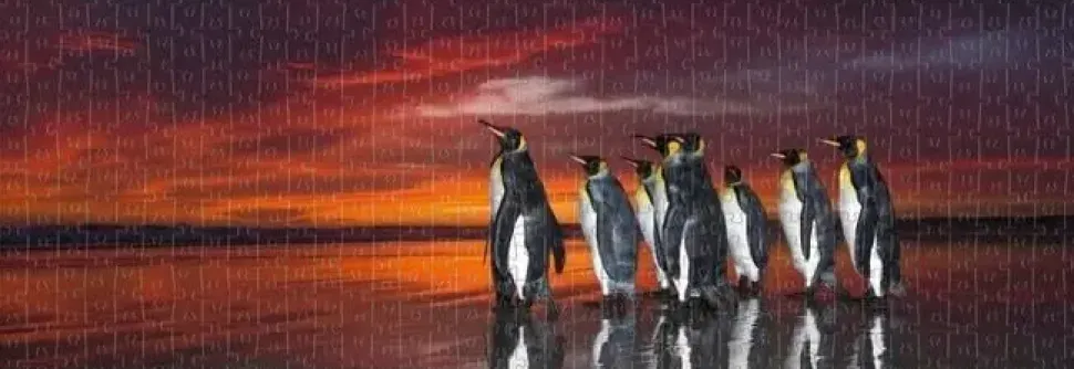 Puzzle Pinguins da Patagônia