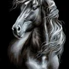 Puzzle Pintura Diamant: Cavalo preto e branco - desenho 30x40cm