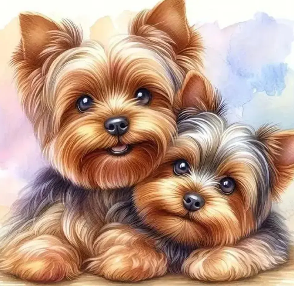 Puzzle Pintura Diamant: Dois Yorkshire Terriers 30x40cm