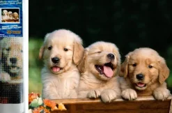 Puzzle Pintura Diamant: Um lindo trio 30x40cm