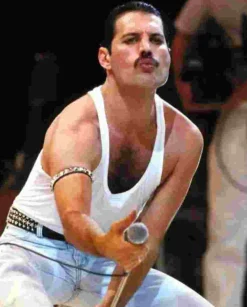 Puzzle Pintura diamantada: Freddie Mercury 30x40 cm