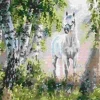 Puzzle Pintura diamantada: Cavalo branco 30x40 cm