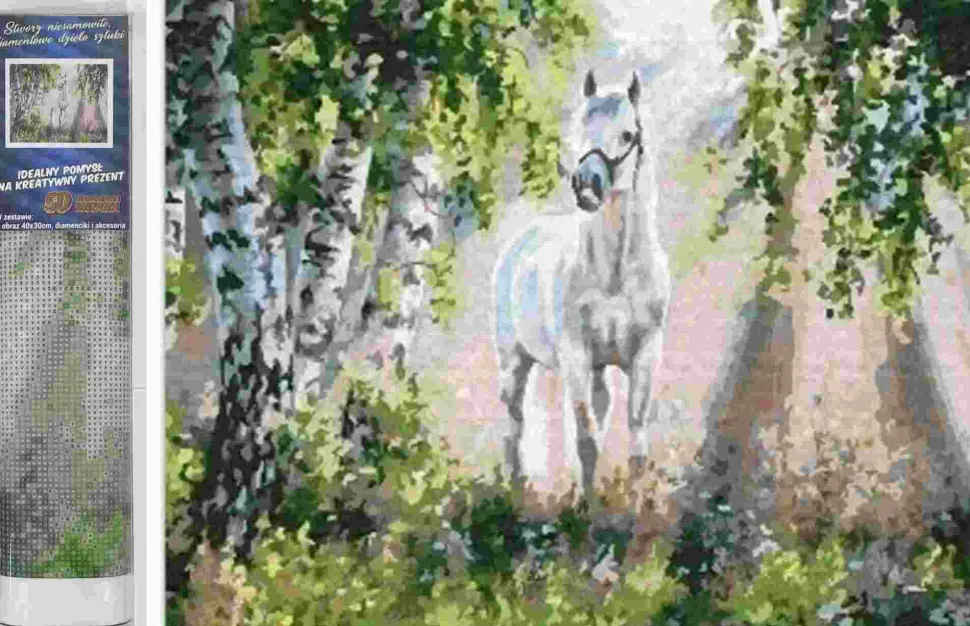 Puzzle Pintura diamantada: Cavalo branco 30x40 cm