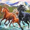 Puzzle Pintura diamante: Cavalos na água 30x40cm