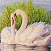 Puzzle Pintura diamante: Cisnes nos juncos 30x40cm