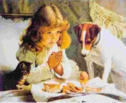 Puzzle Pintura Diamante: Expectativa 30x40cm