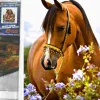 Puzzle Pintura diamante: Ternura de cavalo 30x40cm