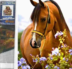 Puzzle Pintura diamante: Ternura de cavalo 30x40cm