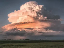Puzzle Poder da natureza: Força da natureza