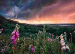 Puzzle Poder da Natureza: Tempestade Mágica