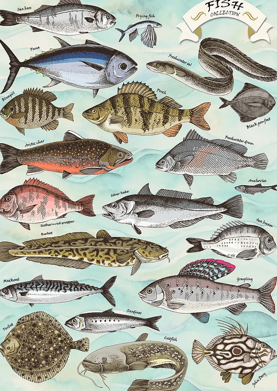 Puzzle Premium Plus Finders Keepers: Peixe