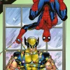 Puzzle Premium Plus: Homem-Aranha e Wolverine