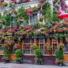 Puzzle Pub 300 de Londres