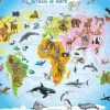 Puzzle Puzzle Vzdelávacie: Animais no mundo