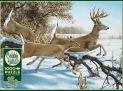 Puzzle Quebrando a capa