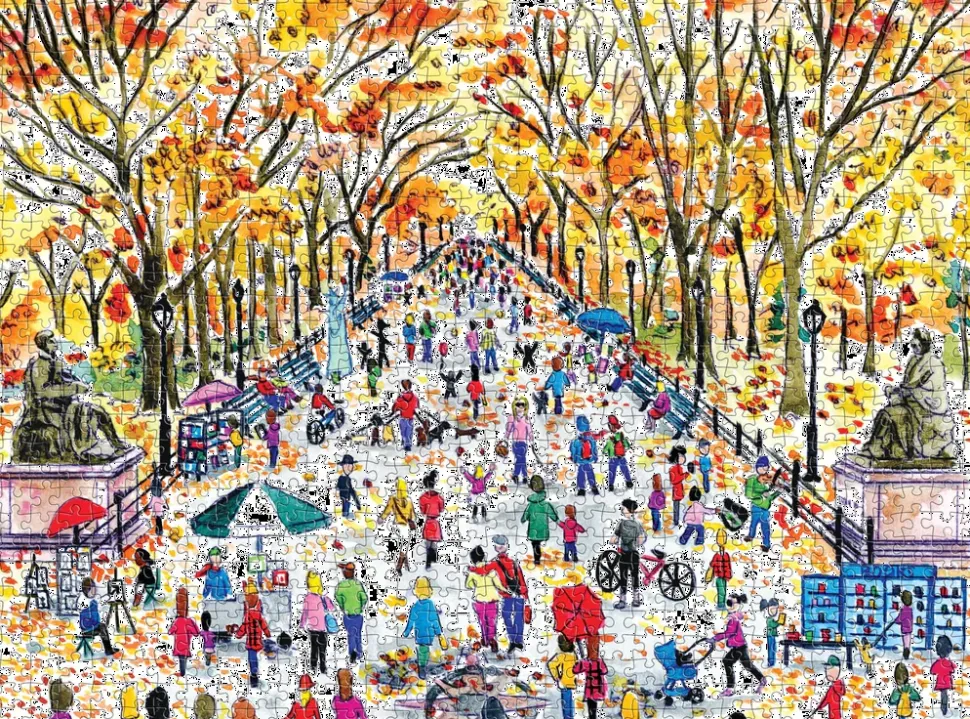 Puzzle Queda no Central Park