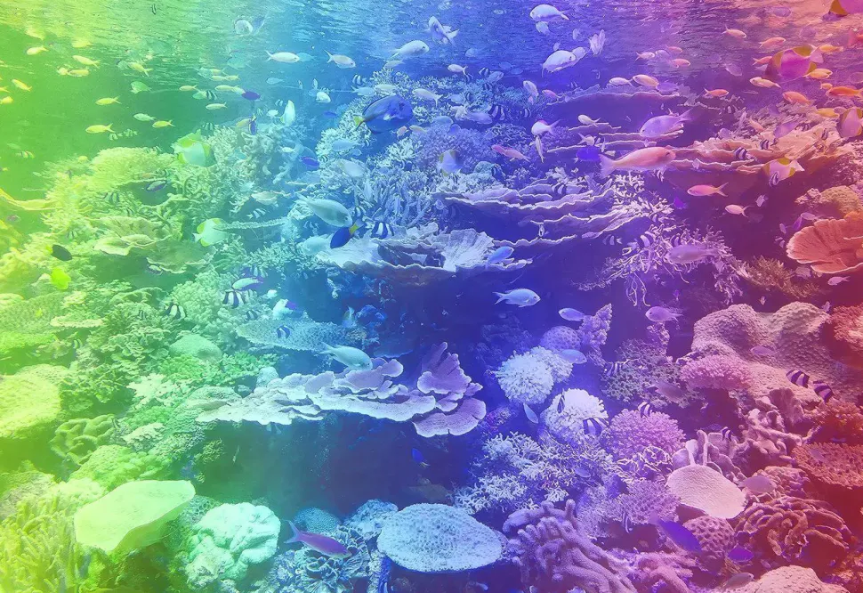 Puzzle Recife de Coral 400