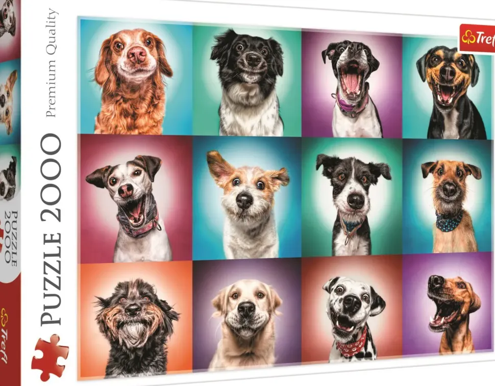 Puzzle Retratos de cães engraçados de