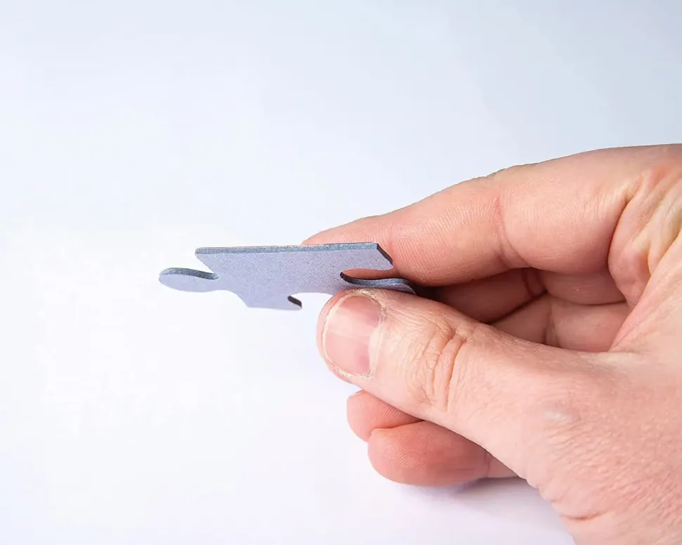 Puzzle Saga Winx: Osud