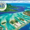 Puzzle Salve Nosso Planeta: Recife de Coral