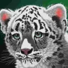 Puzzle Schim Schimmel: Jovem Leopardo