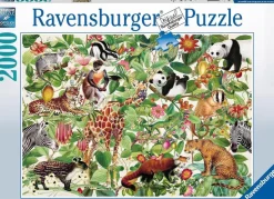 Puzzle Selva