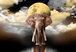 Puzzle Sonhos de elefante