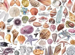 Puzzle The Beachcomber's Companion