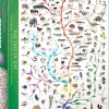 Puzzle The Tree of Life