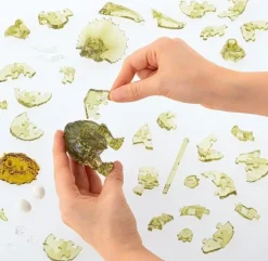 Puzzle Tricerátops com bebê