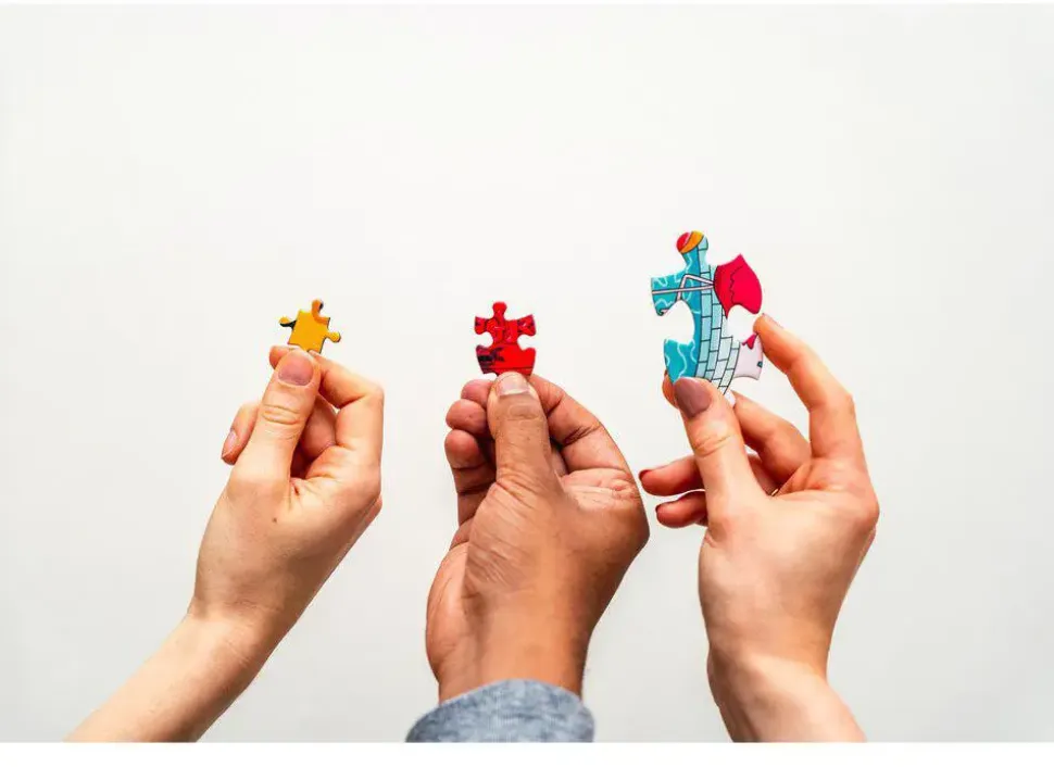 Puzzle Troca da Guarda