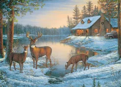 Puzzle Um Lugar Silencioso