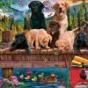 Puzzle Uma família de cães no lago